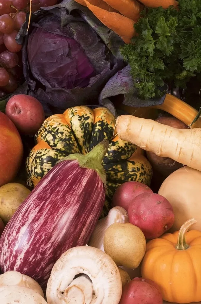 Légumes de saison du marché vendéen : aubergine, courge, panais, champignons